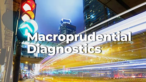 Macroprudential Diagnostics No. 21