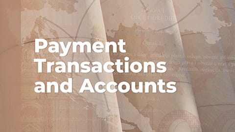 Payment Transactions and Accounts – 2024