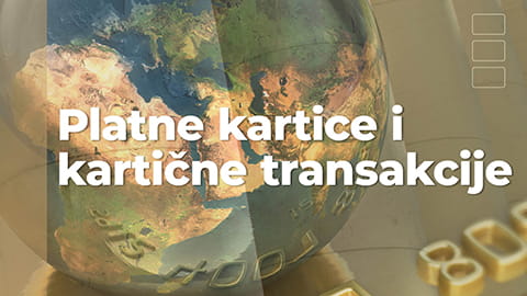 Platne kartice i kartične transakcije – 2024.